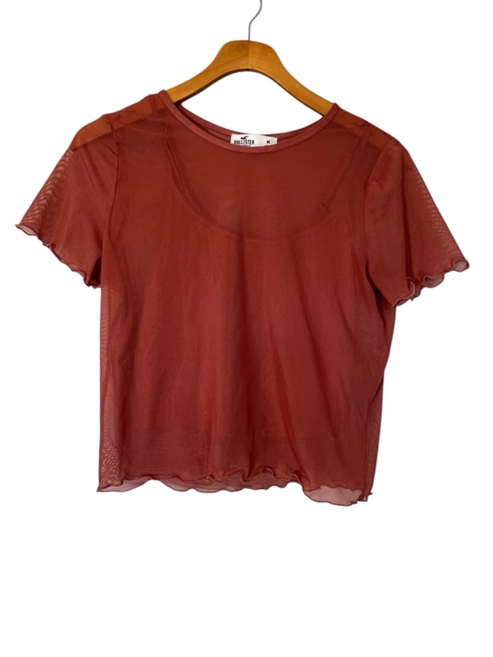 Hollister Sheer Mesh Short-Sleeve Crop Top With Cami Size M Y2K Fairy Grunge